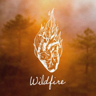 Wildfire ft. Elena Castillo, Emily Linskens & Steph Wilkins lyrics | Boomplay Music