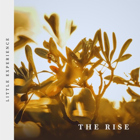 The Rise | Boomplay Music