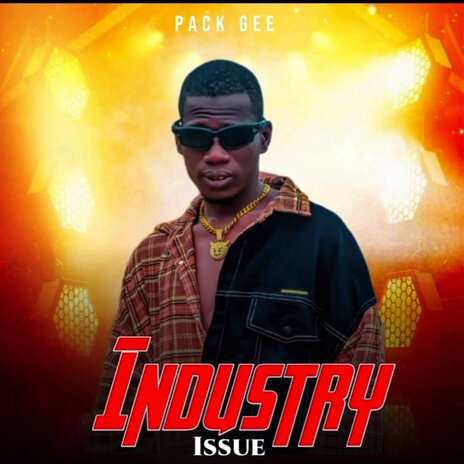 Industry Issue | Boomplay Music