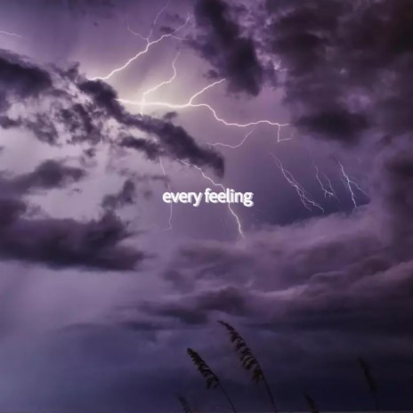 Every Feeling | Boomplay Music