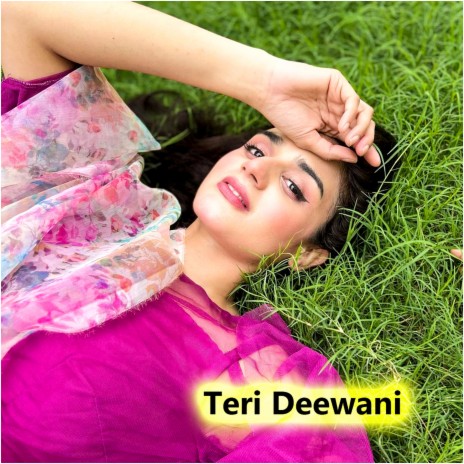 Teri Deewani | Boomplay Music