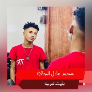 محمد عادل الجاك