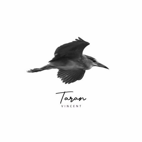 Taran | Boomplay Music