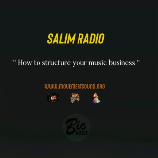 How to structure your music business