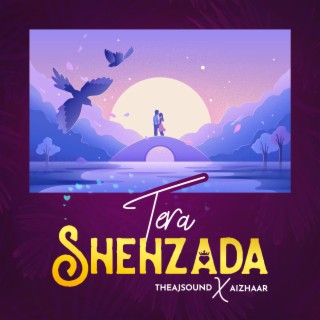 tera shehzada.