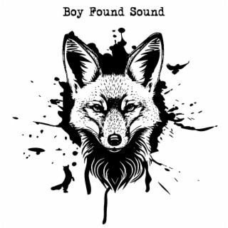Boy Found Sound