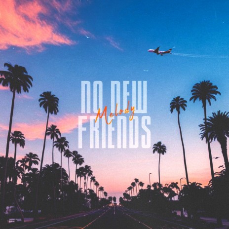 No New Friends | Boomplay Music