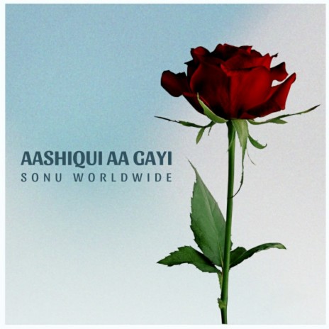 Aashiqui aa gayi (Slowed and Reverb)