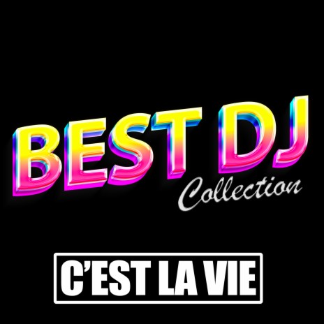C'est la vie (Made Famous by Martin Solveig) | Boomplay Music