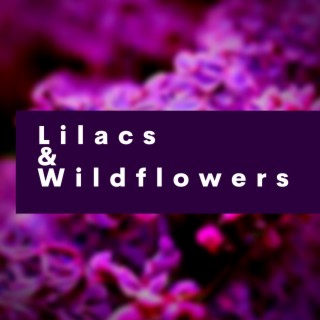 Lilacs and Wildflowers