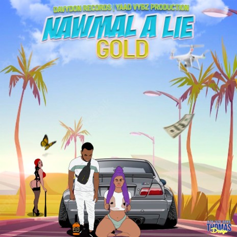 Nawmal a Lie | Boomplay Music