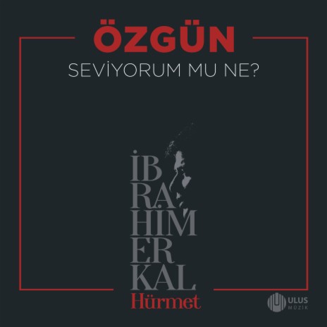 Seviyorum Mu Ne? (İbrahim Erkal Hürmet) | Boomplay Music