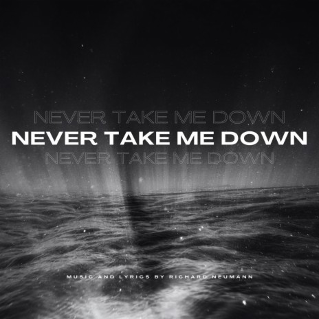 Never Take Me Down | Boomplay Music