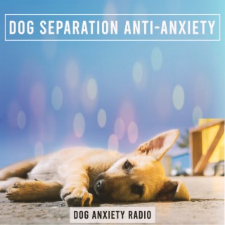 Dog Separation Anti-Anxiety