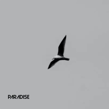 Paradise | Boomplay Music