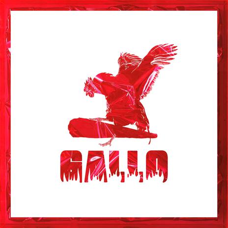 Gallo | Boomplay Music