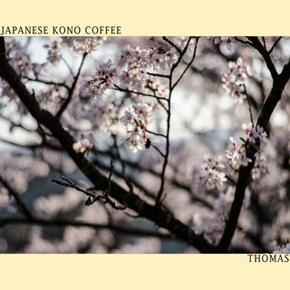 Japanese Kono Coffee