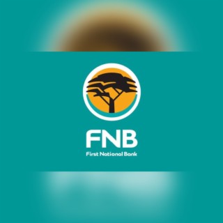 FNB (Radio Edit)