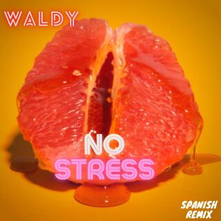 No Stress (SPANISH REMIX)