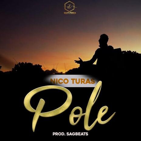 Pole | Boomplay Music