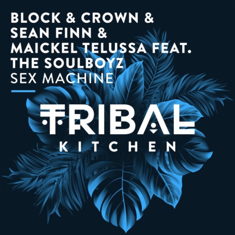 Sex Machine (Extended Mix) ft. Sean Finn, Maickel Telussa & THE SOULBOYZ | Boomplay Music