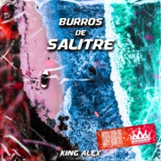 Burros De Salitre (Remix)