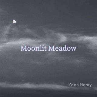 Moonlit Meadow