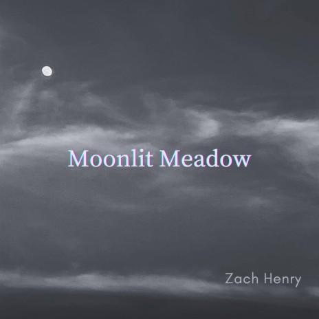 Moonlit Meadow | Boomplay Music