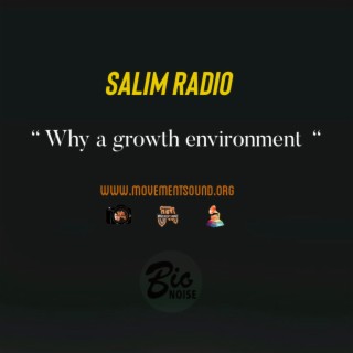 Why a growth environment