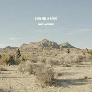 joshua tree