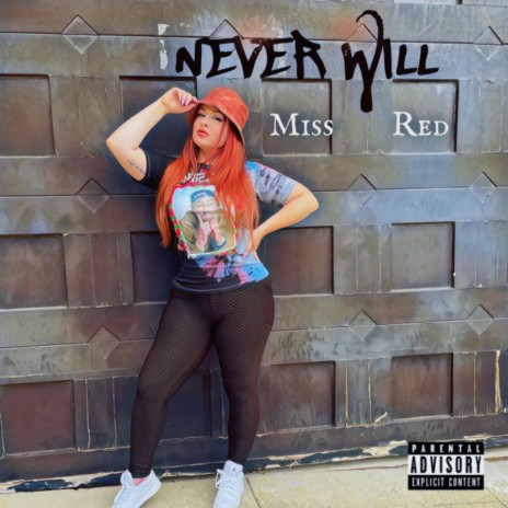 Never Will | Boomplay Music