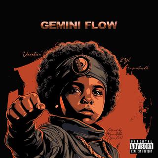 GEMINI FLOW