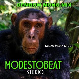 Dembow Domincano Mono Mix