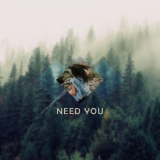 Need You (Radio Edit)