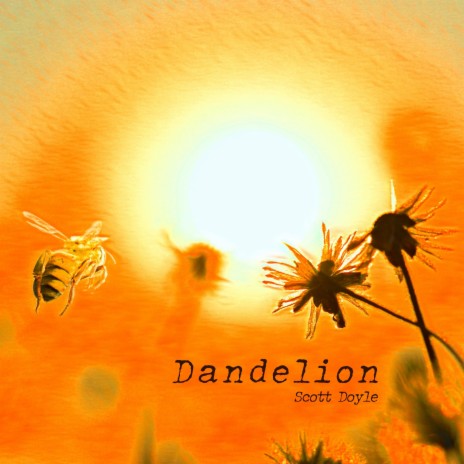 Dandelion