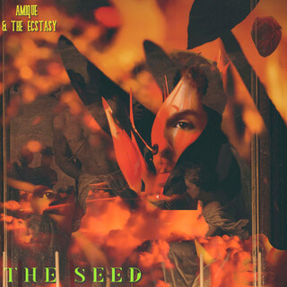 The Seed