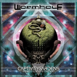 WormHole