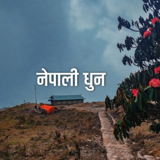Nepali Vibes | Nepali Dhun