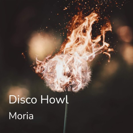 Disco Howl | Boomplay Music