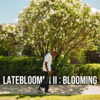 Latebloomer II : Blooming