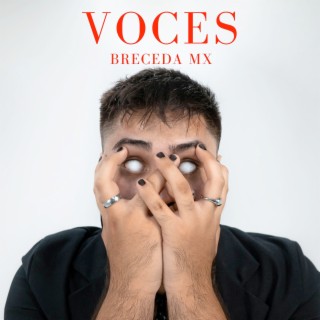 Breceda MX