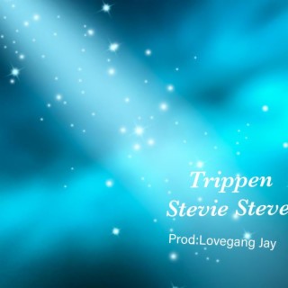 Download Stevie-Steve album songs: Trippen | Boomplay Music
