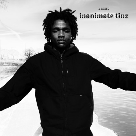 inanimate tinz | Boomplay Music