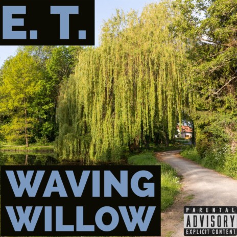 Waving Willow | Boomplay Music