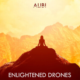 Enlightened Drones