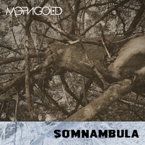 Somnambula | Boomplay Music