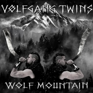 Volfgang Twins