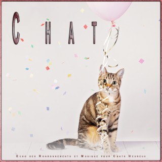 Chat: Echo des Ronronnements et Musique pour Chats Heureux