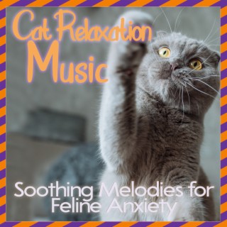 Cat Relaxation Music: Soothing Melodies for Feline Anxiety
