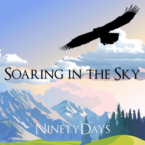Soaring in the Sky | Boomplay Music
